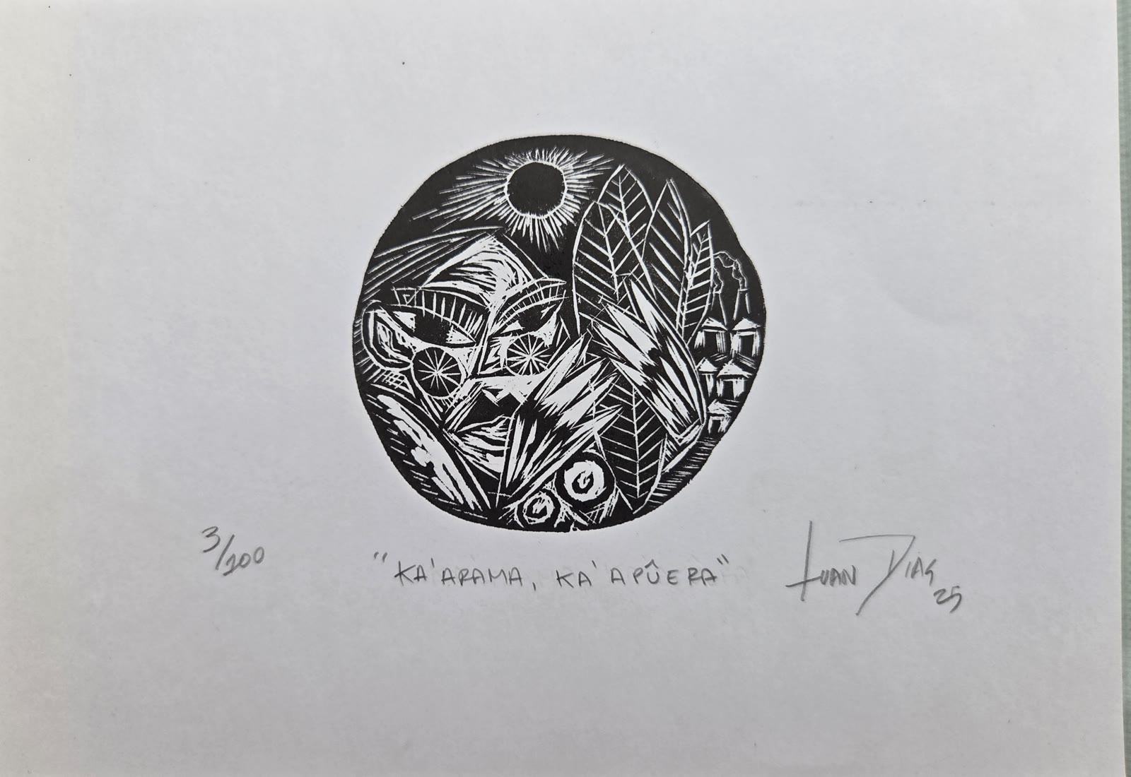 KA´ARAMA, KA´APÛERA