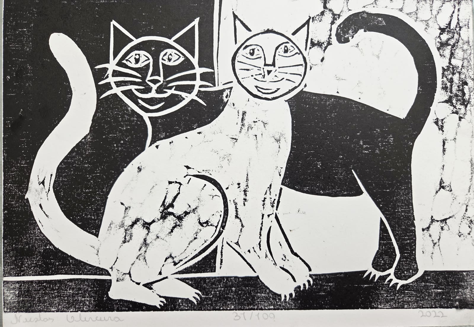 Gatos